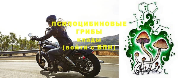 ALPHA-PVP Вяземский